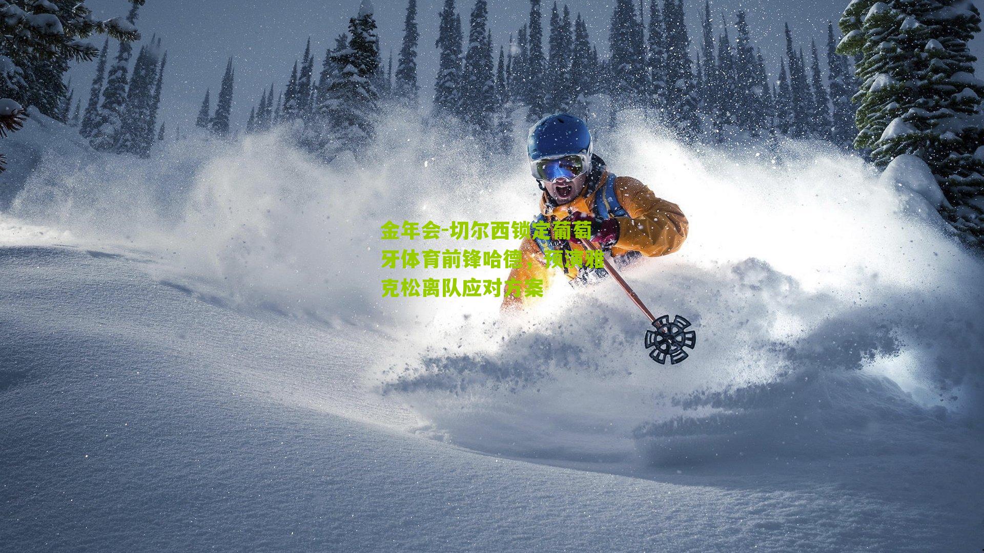 切尔西锁定葡萄牙体育前锋哈德，预演雅克松离队应对方案