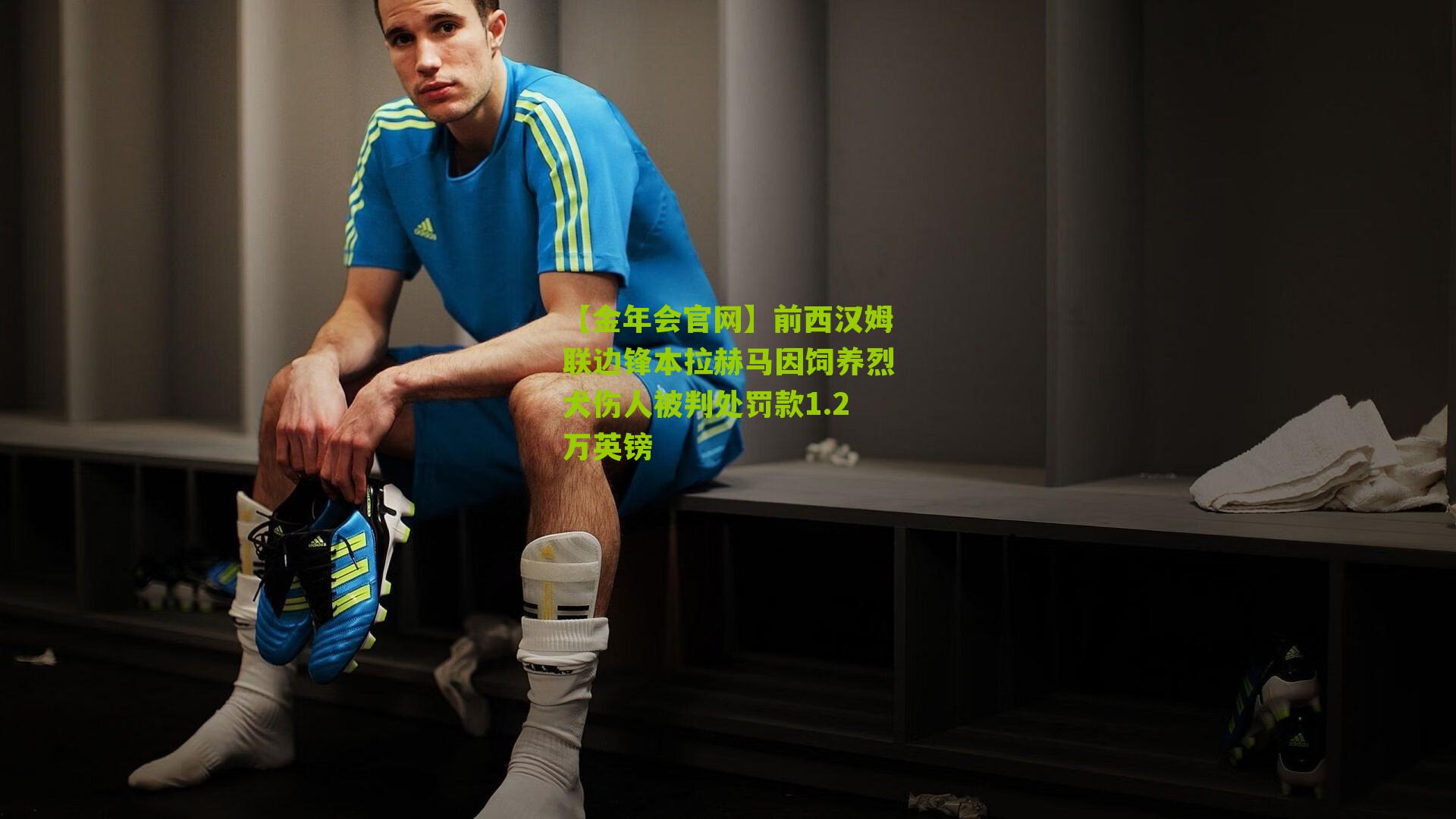 前西汉姆联边锋本拉赫马因饲养烈犬伤人被判处罚款1.2万英镑